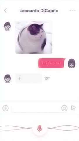 在线DDOS攻击平台